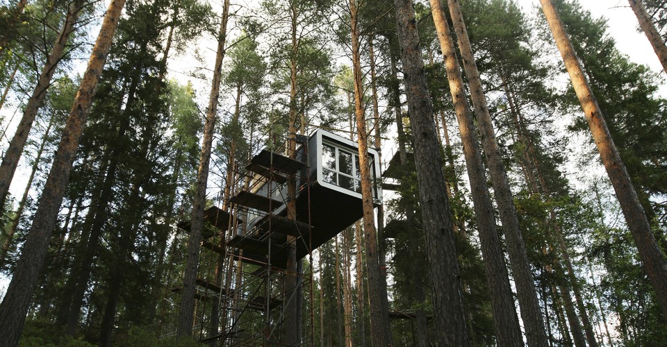 The Health Benefits Of Trees The Atlantic