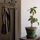 a coat on a hanger in the background, a plant on a table in the foreground