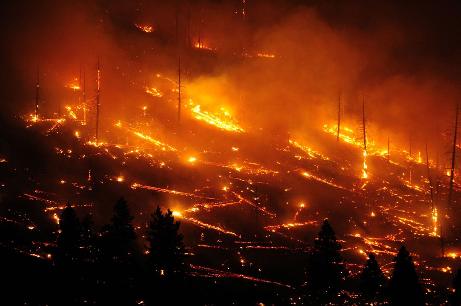 Fires and glowing embers of fallen trees line a hillside at night.