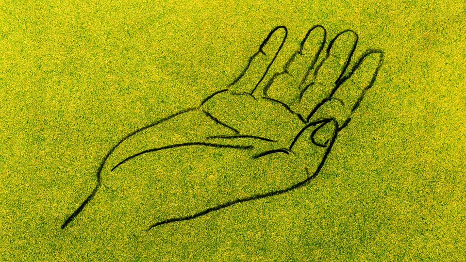 illustration with outline drawing of an outstretched hand, palm facing up, on yellow-green background