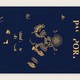 A passport with lettering falling off