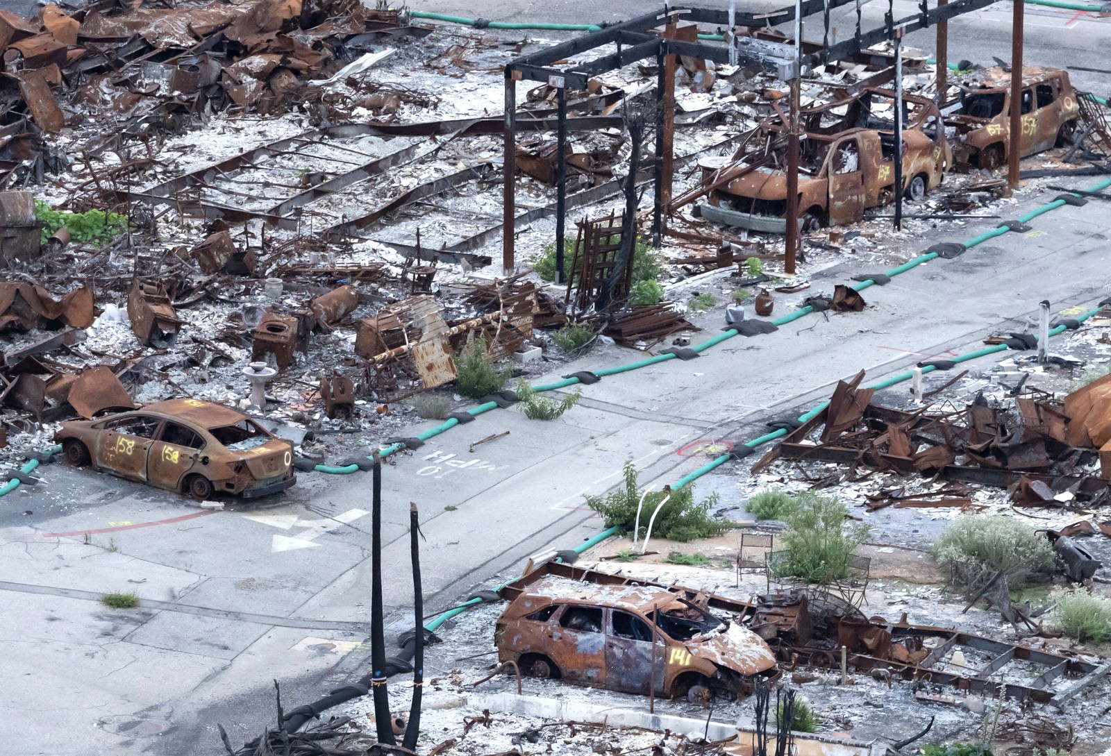 An elevated view of a completely burned neighborhood, showing rusted car bodies and steel framing members among ashes