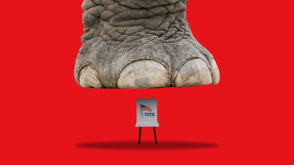 Ballot about to be smashed by elephant foot