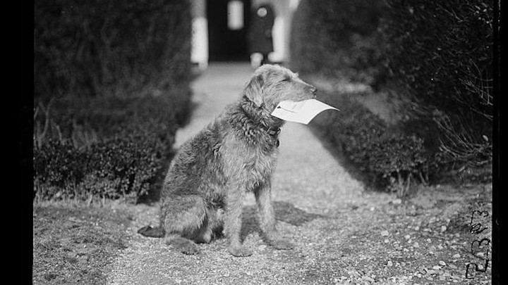When Is a Telegram Not a Telegram? - The Atlantic