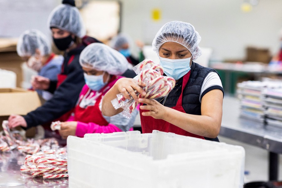 Workers in a factory pack candy canes in boxes.