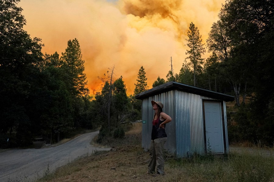 A person looks up at a smoke-filled sky above surrounding forest.
