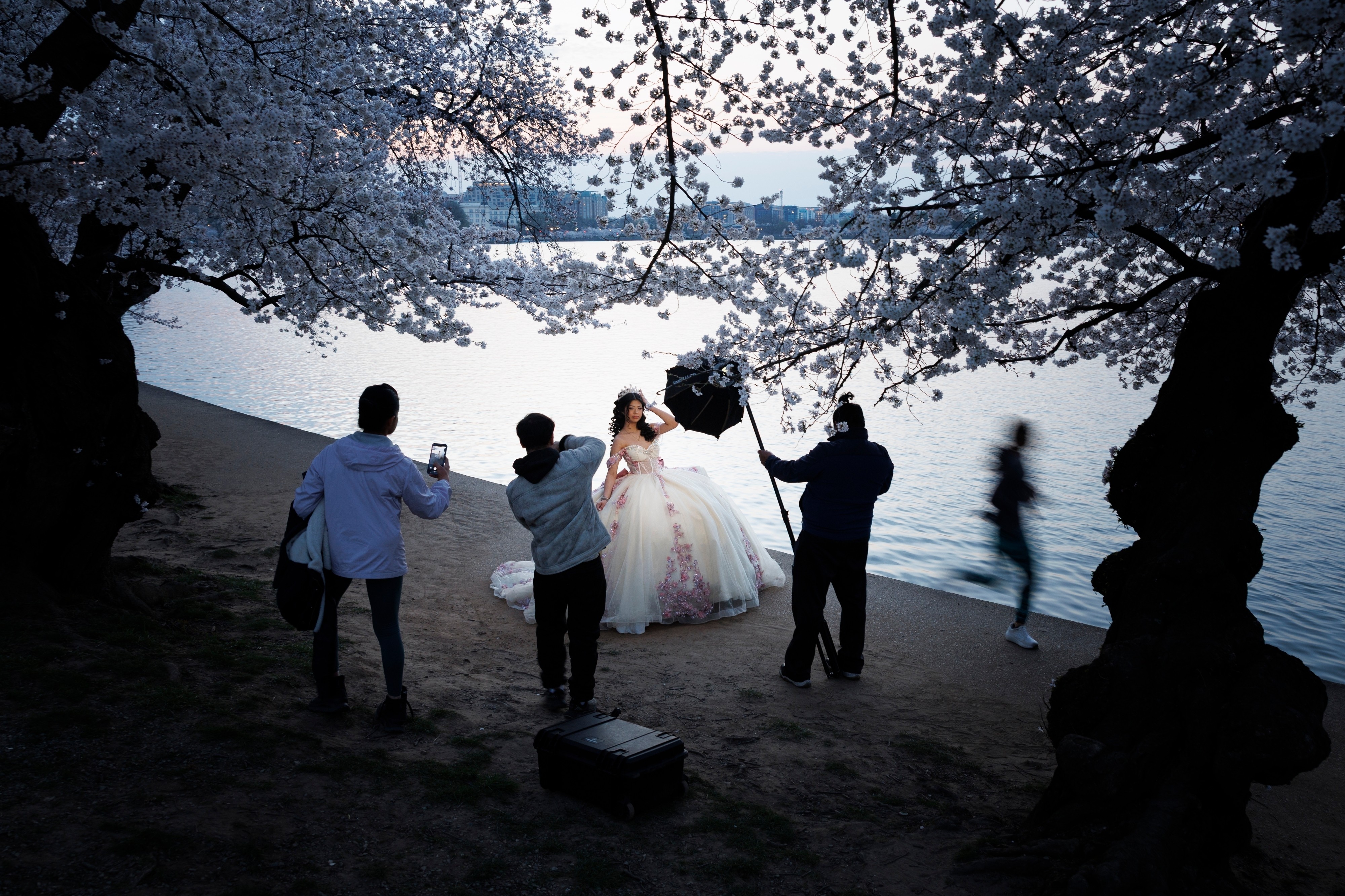A person poses for a quinceañera photo among cherry-blossom trees.