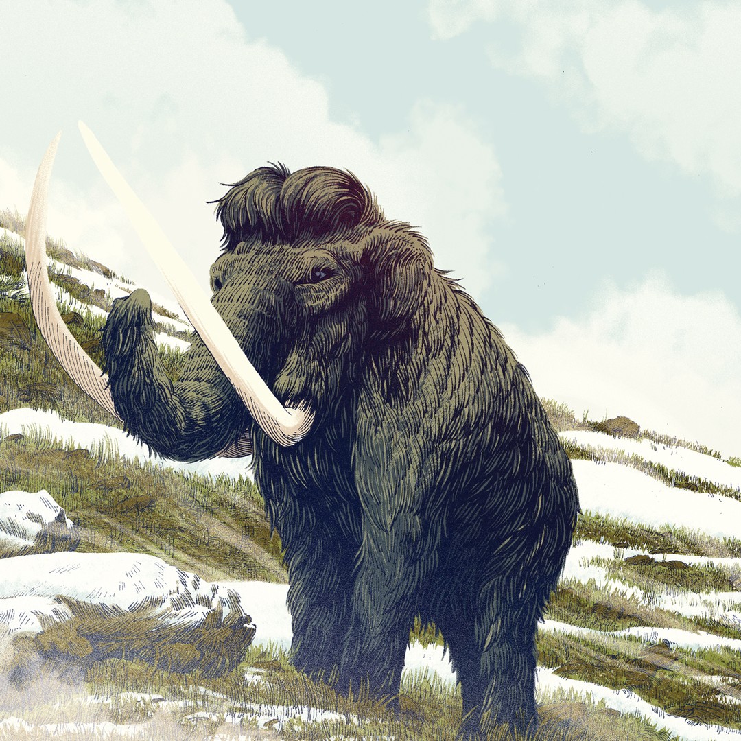 ancestral mammoth