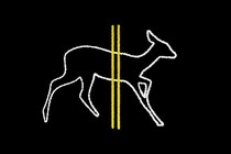 outline of a deer with two yellow lines going through it