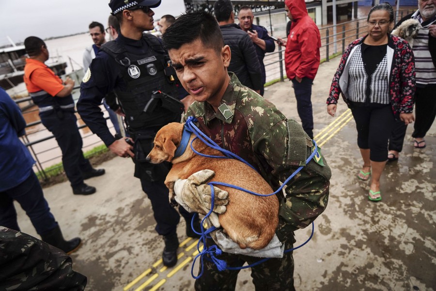 A soldier evacuates a small dog from a flooded area.