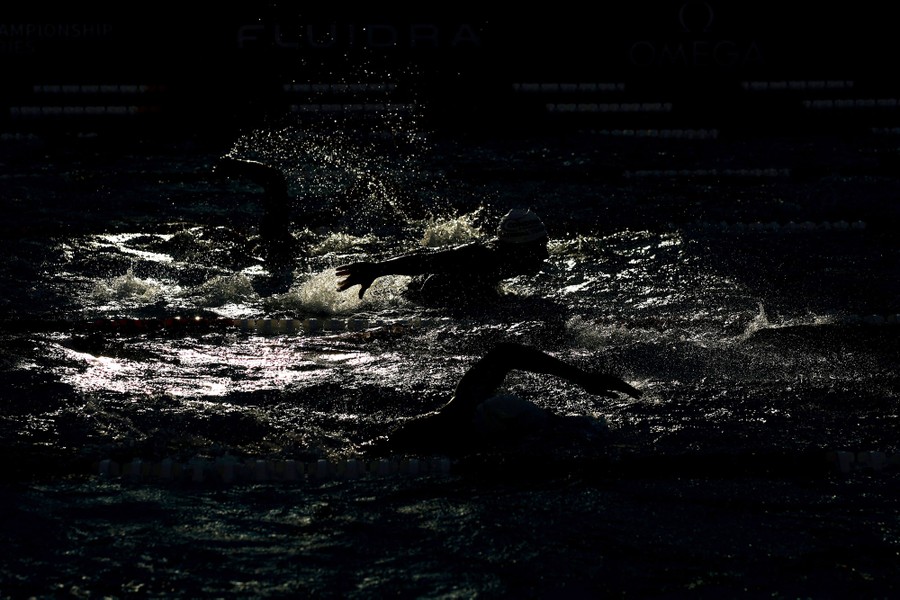 A dark photograph of a swimmer splashing in a pool