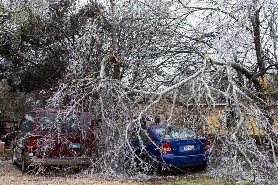 Several parked cars sit under broken, ice-covered tree branches.