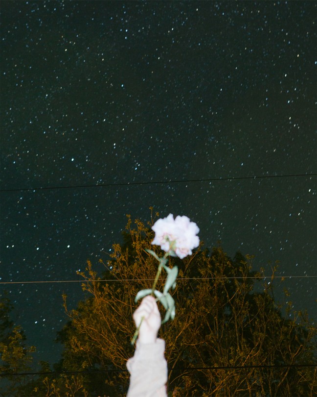 A blurry fist holds up a rose against the night sky.