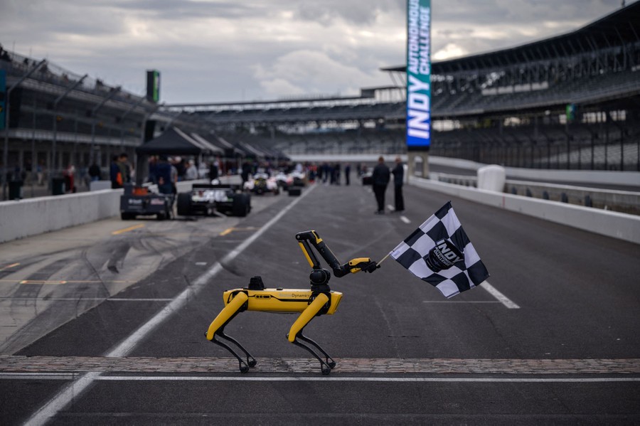 A robotic dog holds a checkered flag at a race track.