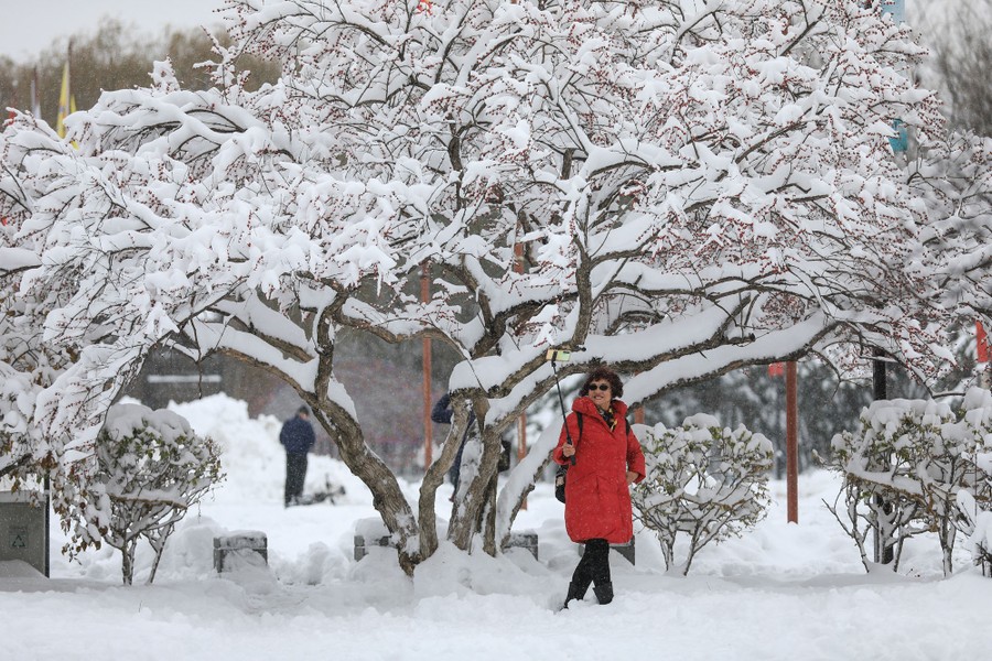 A woman takes a selfie beside a snow-covered tree.