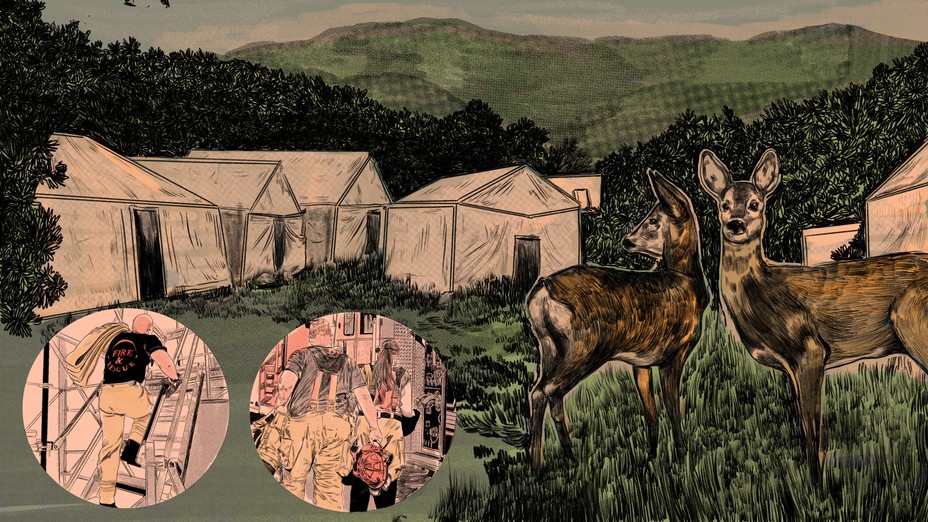 illustration of tents in nature