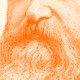A zoomed-in photo of a full beard