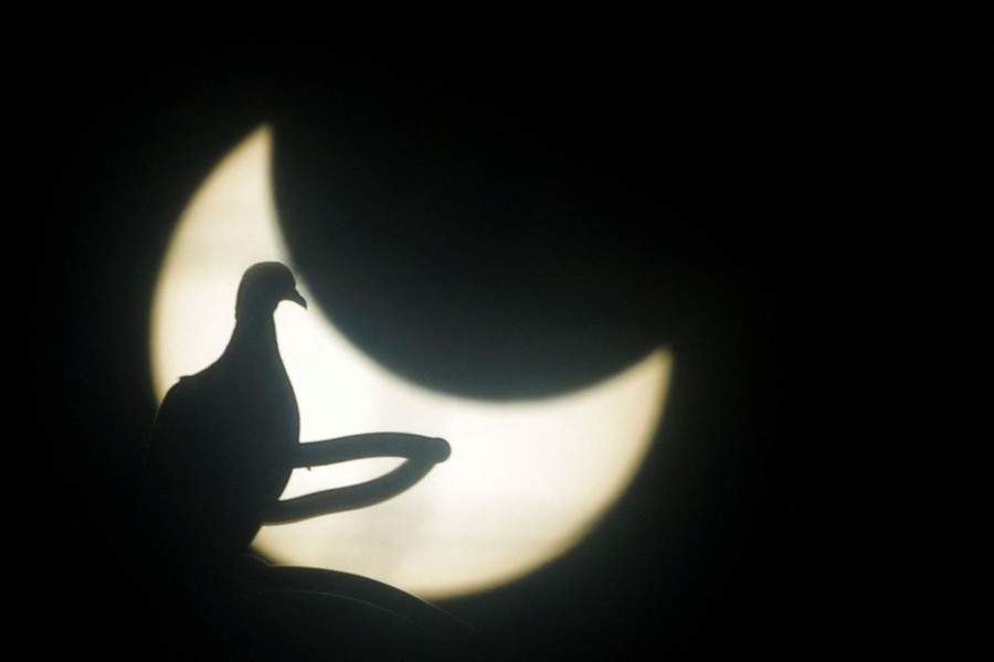 The silhouette of a dove in front of a partial solar eclipse