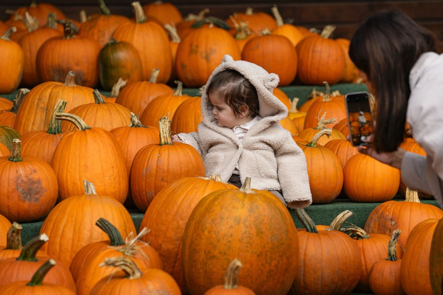 A woman takes a photo of a young girl surrounded by pumpkins.
