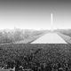 A diptych of the Radio Atlantic logo (left) and a black-and-white photo of thousands of people standing before the Lincoln Memorial.