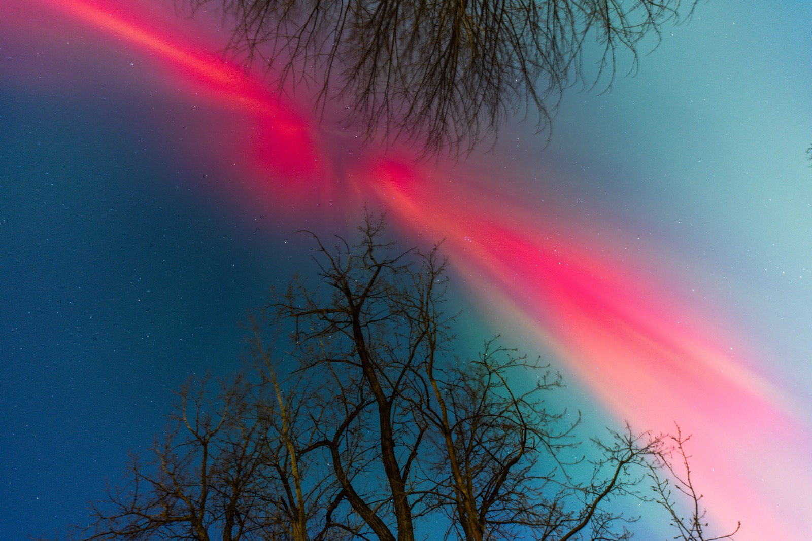 The northern lights form a broad streak of red across the night sky, seen looking straight up.