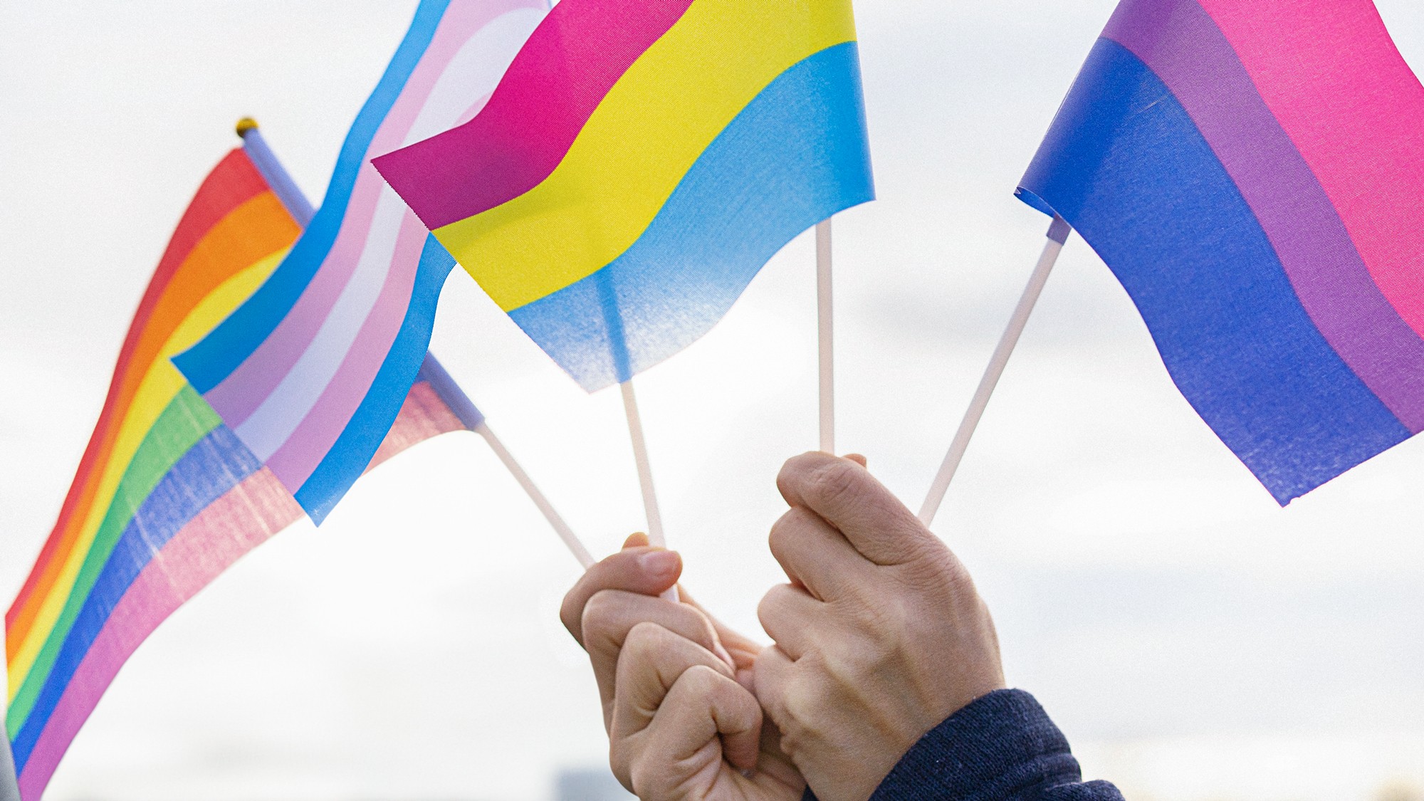 The Problem With the Government’s Pansexual Pride Day Post