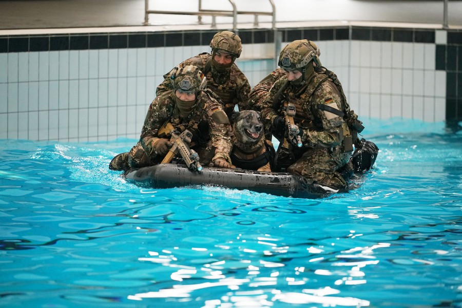 Four soldiers in battle gear ride in a small inflatable boat in a swimming pool, with a working dog they are training.