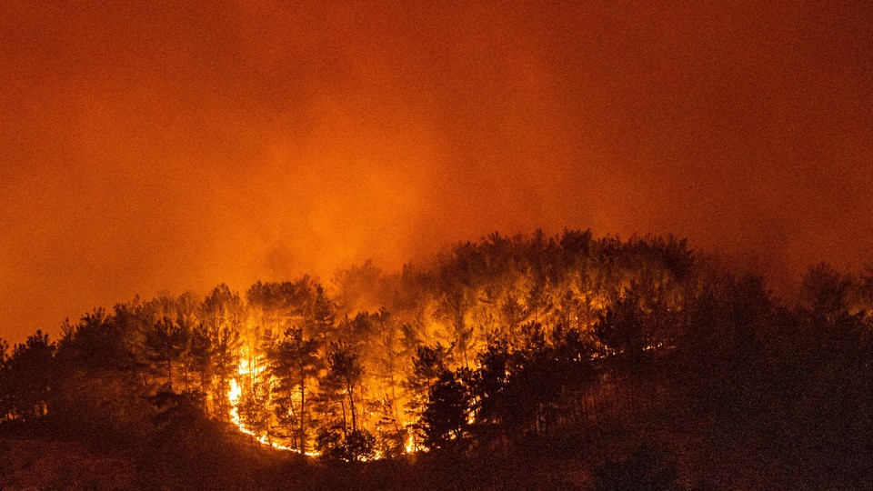 A forest burning in Turkey on August 6, 2021.