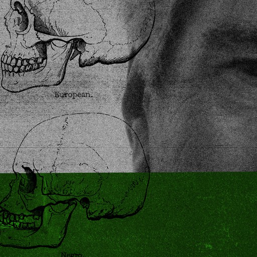 The Epstein Emails Show How the Powerful Talk About Race - The Atlantic