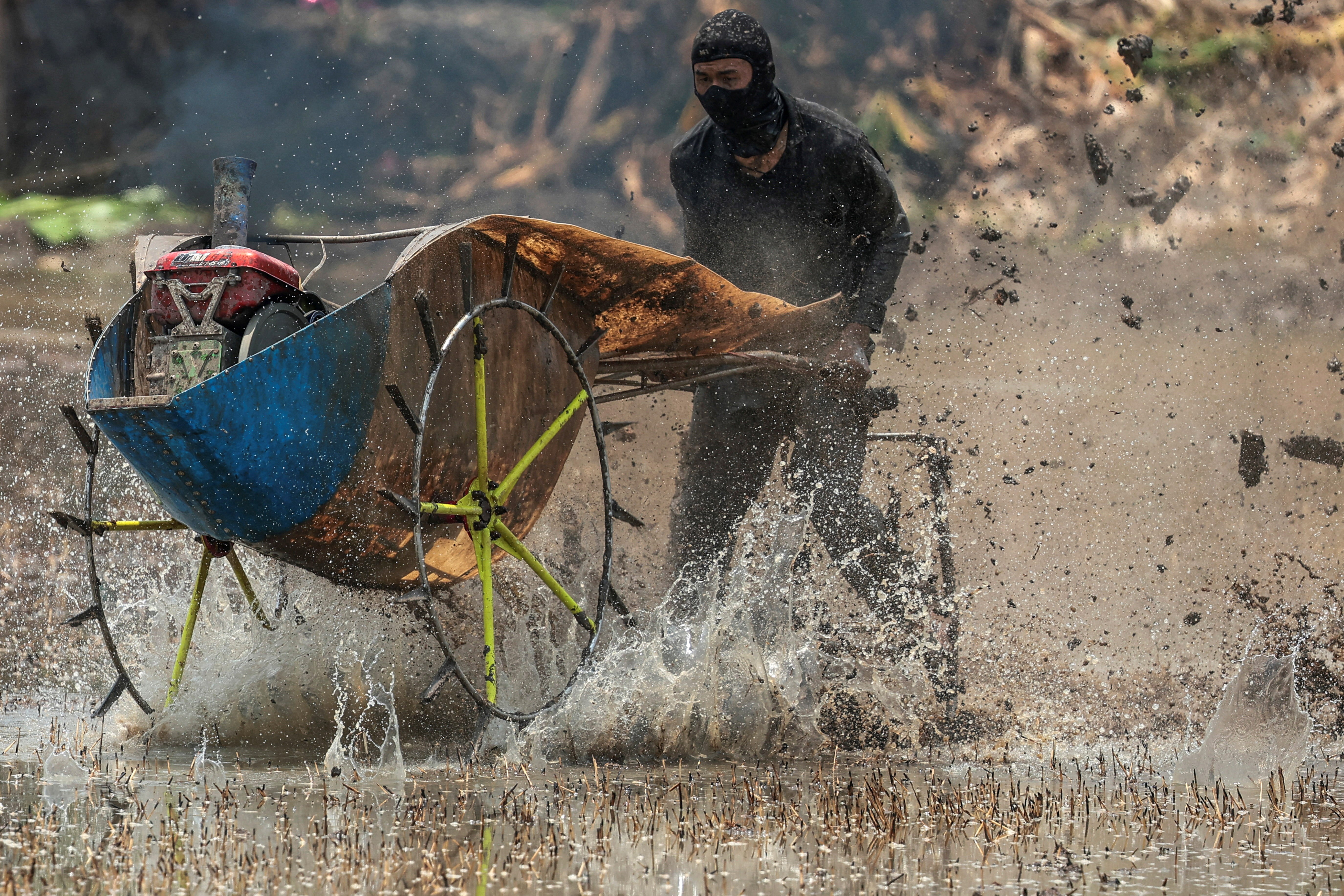 A man holds onto handlebars behind a modified two-wheel tractor that races forward through a rice paddy, splashing mud and water.