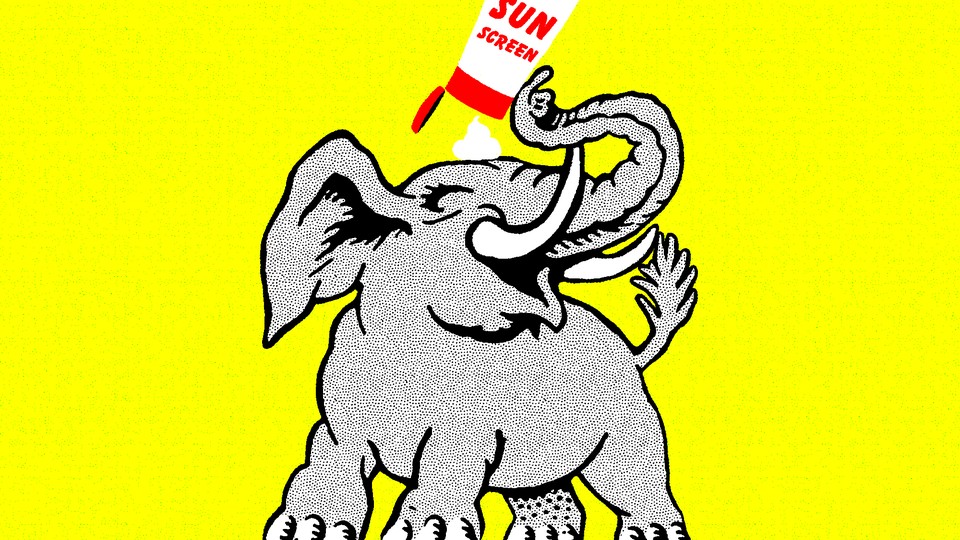 Importance of Sun Protection for Kids And Pets: Essential Tips