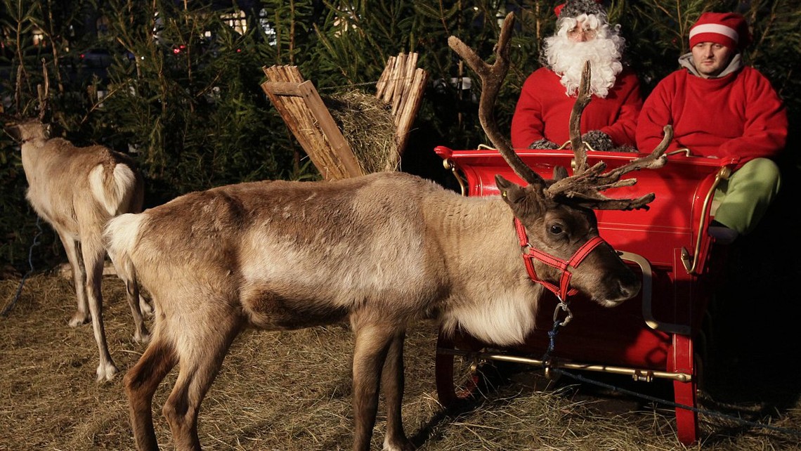Rudolph the Red-Nosed Cash Cow: Inside the Economics of Reindeer