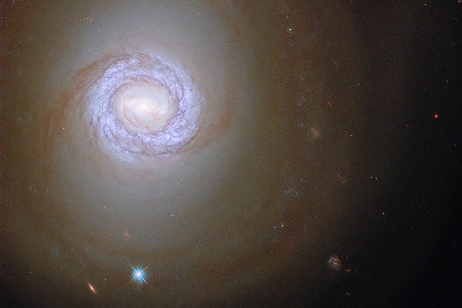 A whirlpool of light and dust, the image shows most of a distant spiral galaxy.