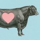 An illustration of a cow with a heart cutout in the middle of its body