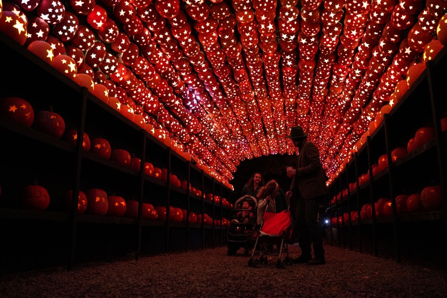 People walk inside a long arched passageway made of jack-o'-lanterns.
