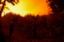 Three people stand outdoors in dim lighting as an orange glow from a forest fire fills the sky above a hedge of trees.
