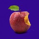 Graphic illustration of an old, rotting apple in the position of the Apple logo, on a royal-blue background
