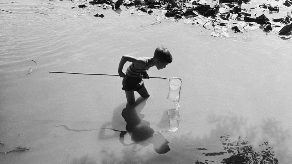 A black-and-white photo of a child standing in a pond with a net, searching the pond floor.
