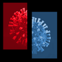 Artwork of the coronavirus divided into red- and blue-shaded halves
