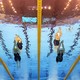 Four female swimmers divided by yellow lanes in the pool