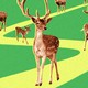 Collage illustration of five deer walking down a yellow path against a green backdrop