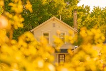suburban house through trees