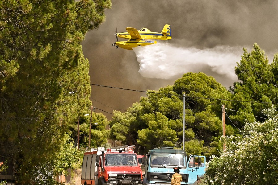 A small firefighting plane dumps water over a neighborhood lined with many trees, with dark smoke in the sky.
