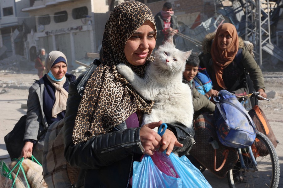 A Palestinian woman holds her cat as she and others carry belongings in a street.
