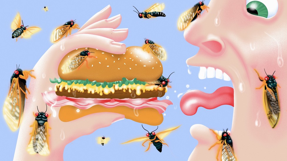 An illustration of a man about to eat a burger. Both he and the burger are covered in cicadas.