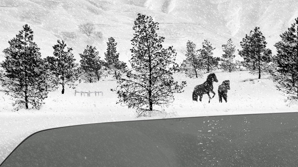 A still from Abbas Kiarostami's film '24 Frames'