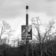 Campaign sign on a pole in a wooded area