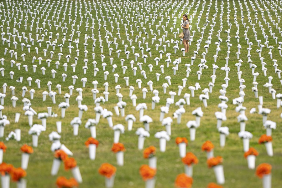 A person walks among thousands of white bouquets arranged in a grid across a broad field of grass.