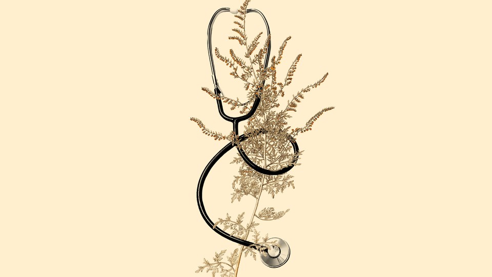 A stethoscope entwined with wormwood