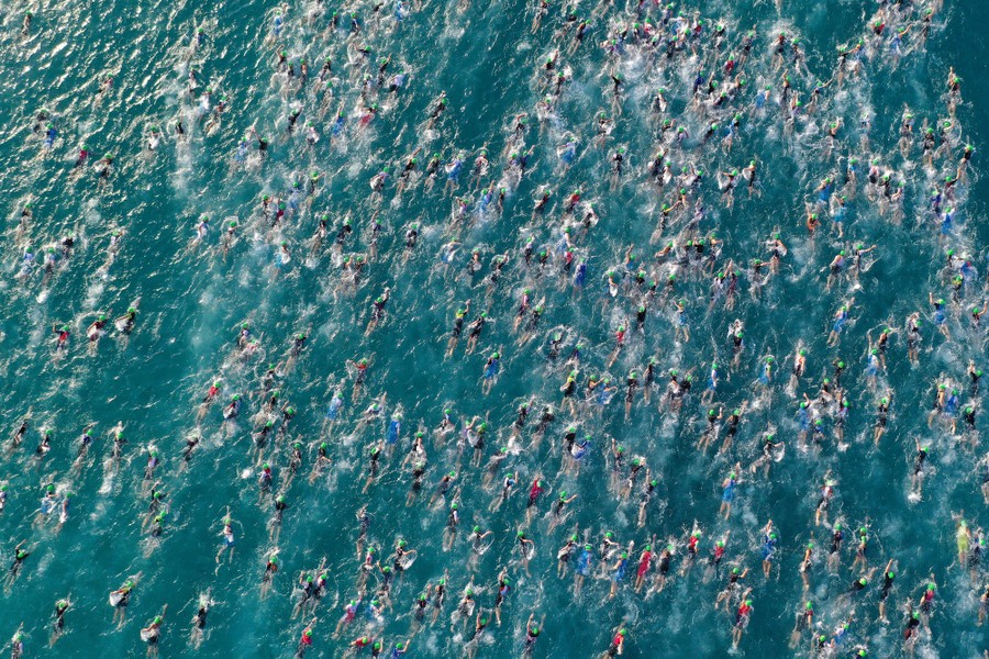 An aerial shot of dozens of swimmers competing in a race.